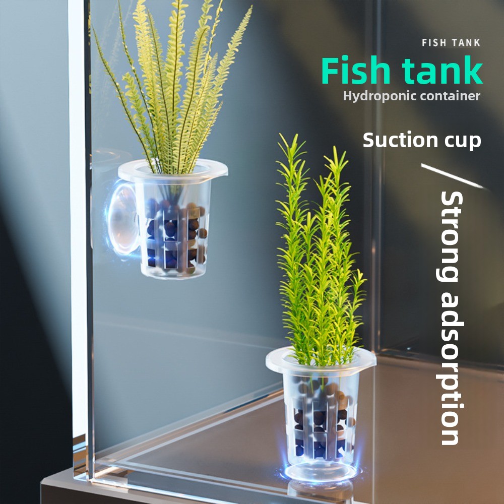 Aquarium Plants Live - 10 stuks transparante planten hydrocultuur pot