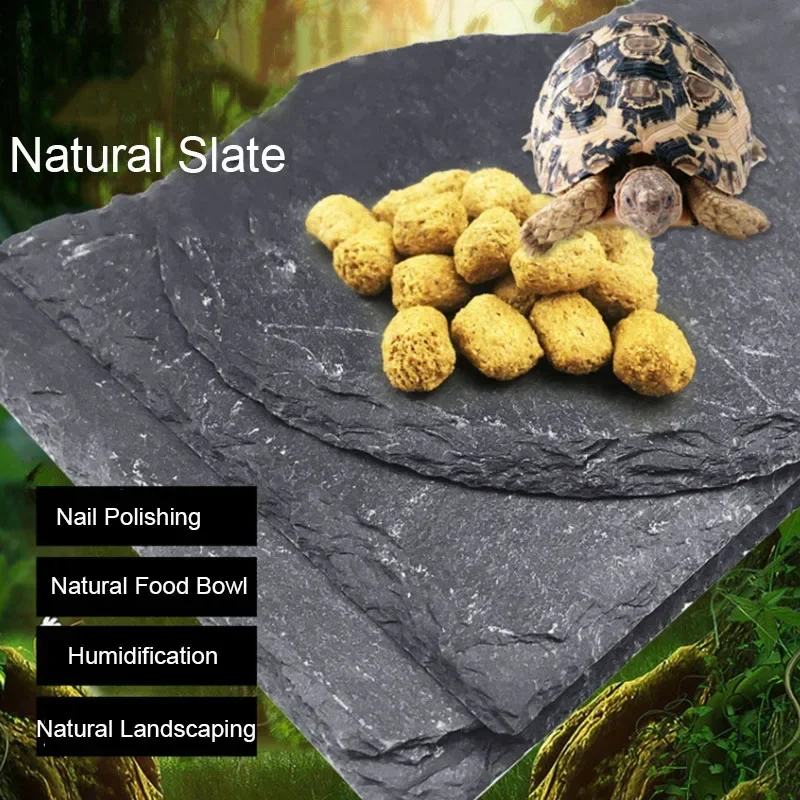 Aquarium Driftwood - Natuurlijk Leisteen Aquarium Reptiel Feeder Kom