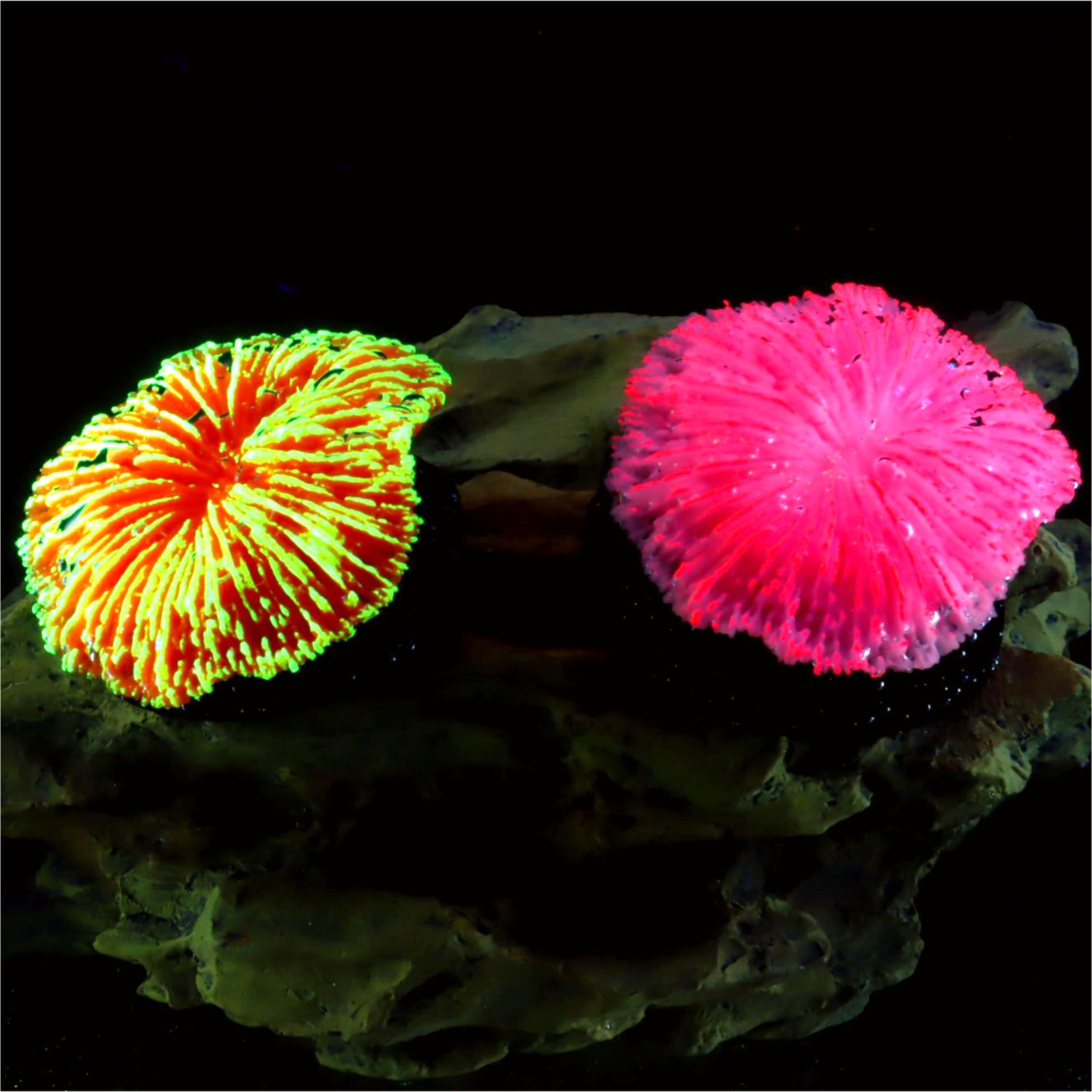 Aquarium Plants Live - 1 stuk aquariumdecoratie, zaagkoraal, mini fluorescerend