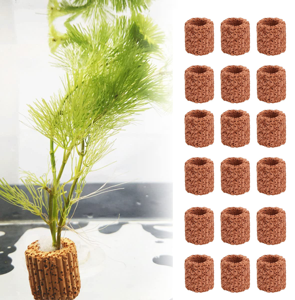 Plant Aquarium Pot - 10/20Pcs Aquatisch Water Plant Vaste Ring