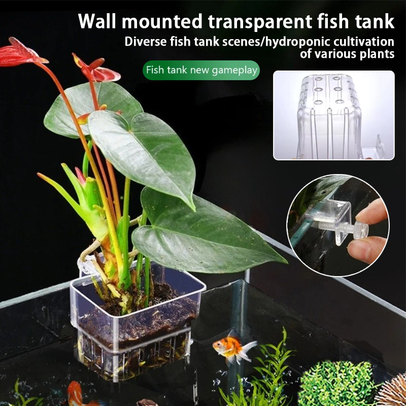 Aquarium Plant Holder - Aquarium hangende plantenbakjes, wandgemonteerde houder voor