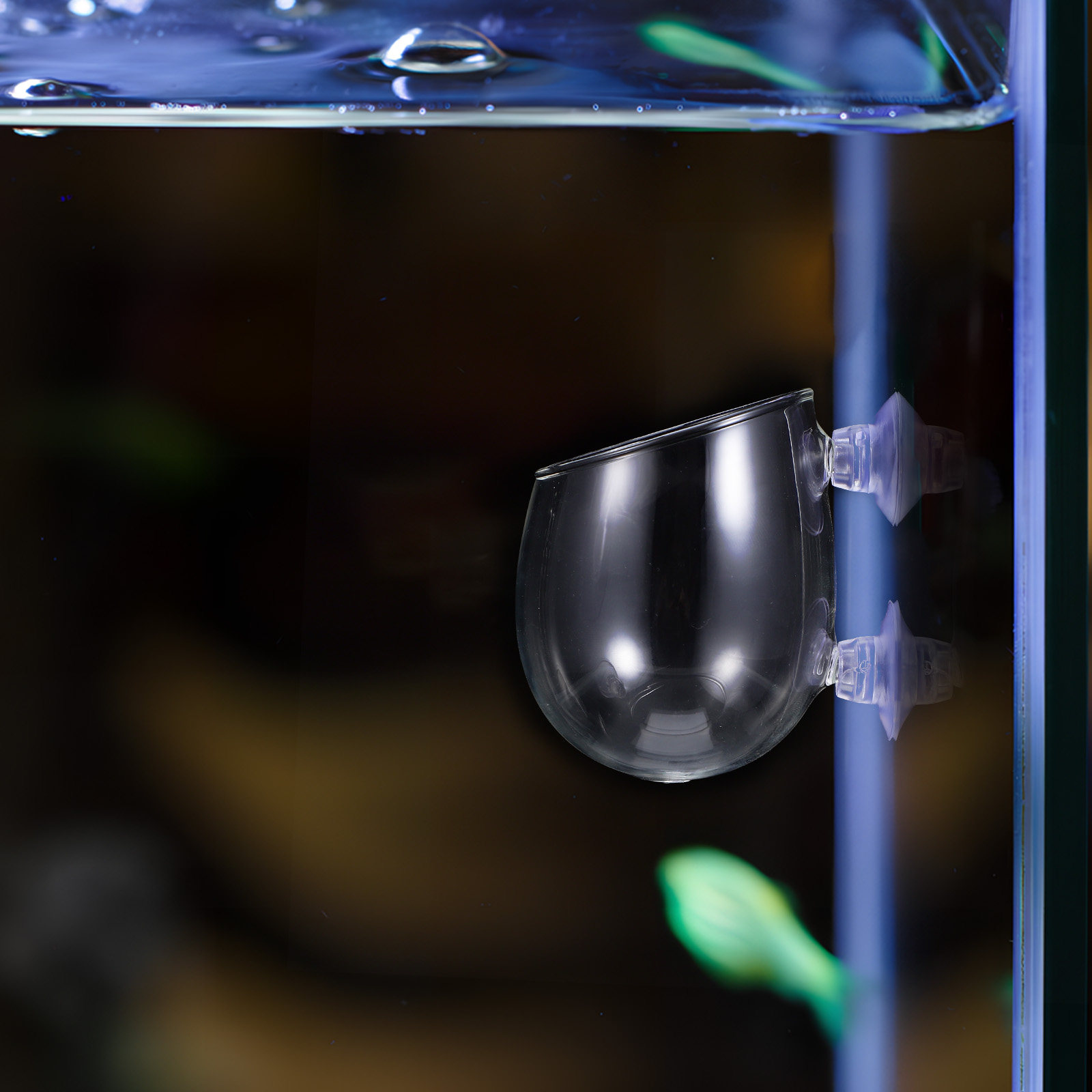 Live Plant Aquarium - Aquariumplantenhouder, 2 stuks glazen plantenbakjes voor