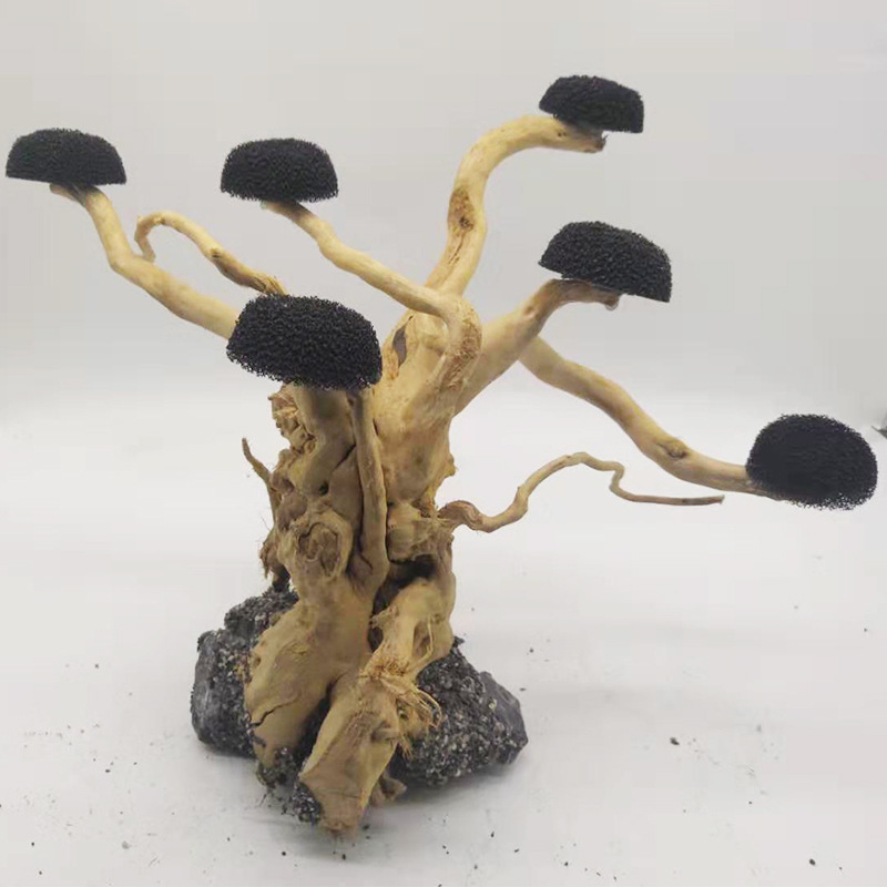 Aquarium Moss - Aquarium Drijfhout Landschapsarchitectuur Decoratie Aquarium Hout