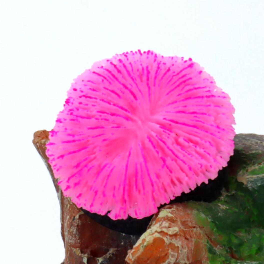 1 stuk aquariumdecoratie, zaag - Aquarium Plants Live recensie en prijs