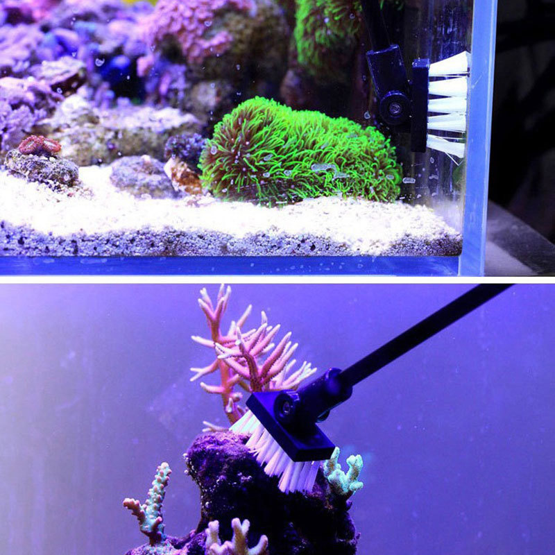 Vissen Reinigingsborstel Plant - Planted Aquarium Cleaning recensie en prijs