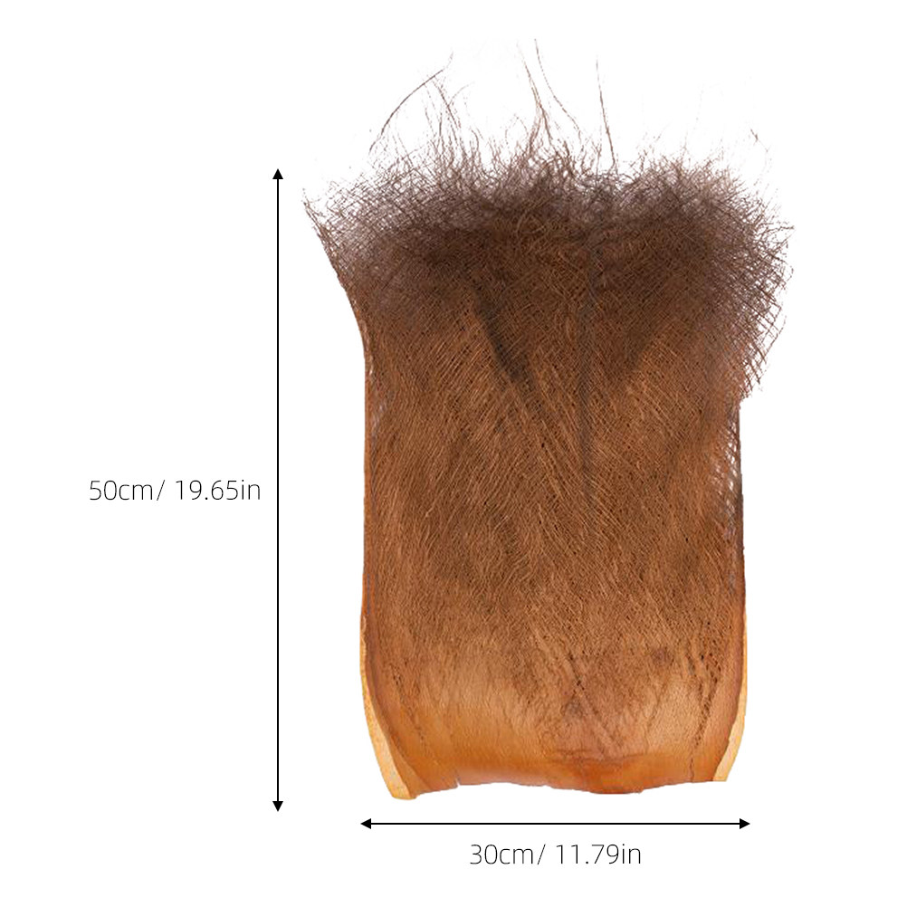 5 vellen fijnbladig palmblad d - Plant Aquarium Pot recensie en prijs