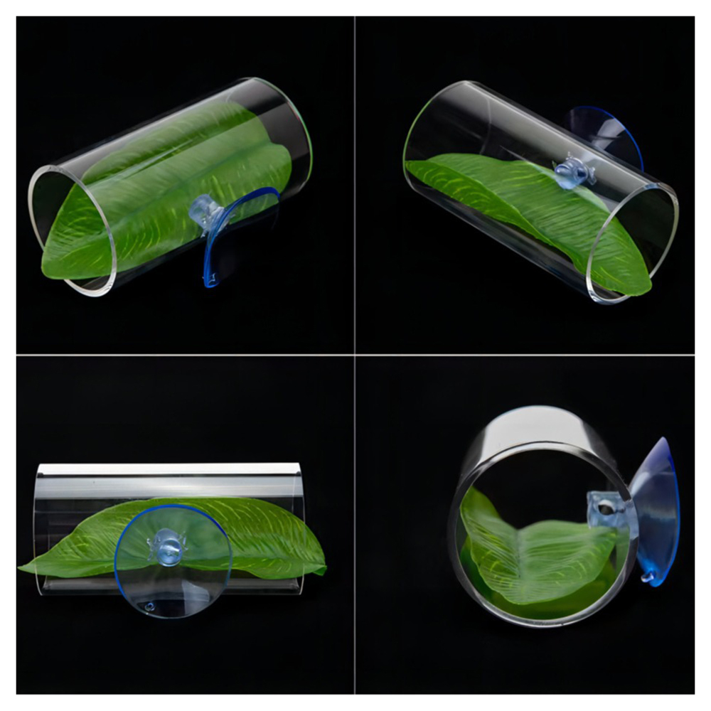 1 st Aquarium Betta Vis Acryl  - Live Plant Aquarium recensie en prijs
