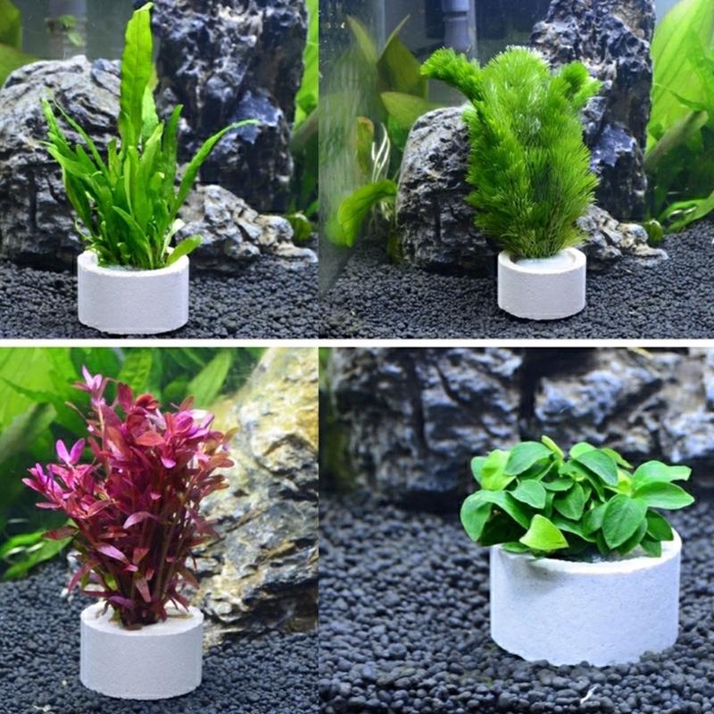 37ME 10-delige aquariumplanten - Aquarium Plant Holder recensie en prijs