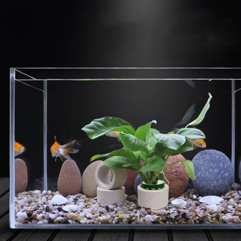 37ME 10-delige aquariumplanten - Aquarium Plant Holder recensie en prijs