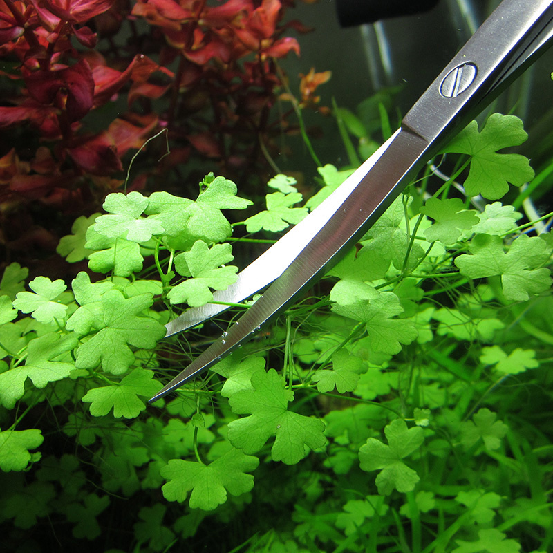 Aquarium Accessoires Hard Roes - Planted Aquarium Cleaning recensie en prijs