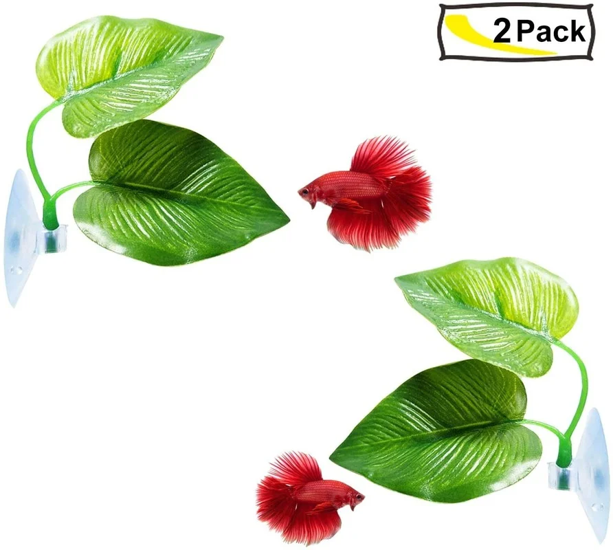 Betta Fish Leaf-hangmat die de - Aquarium Moss recensie en prijs