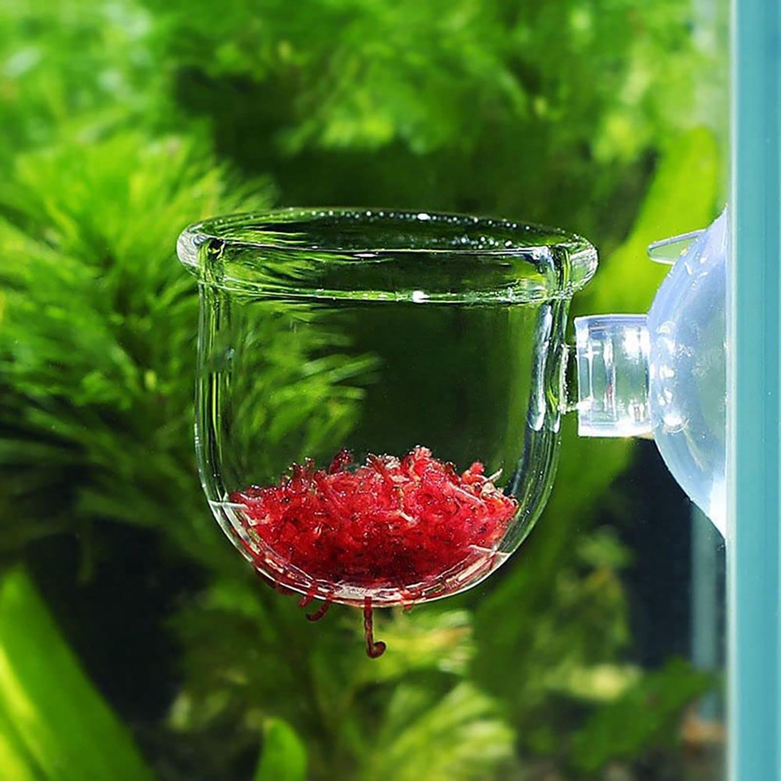 Aquarium Decoratie Plantenpot  - Plant Aquarium Pot recensie en prijs