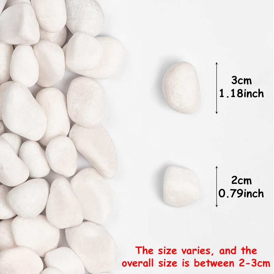 200/400g Witte Hooggepolijste  - Planted Tank recensie en prijs