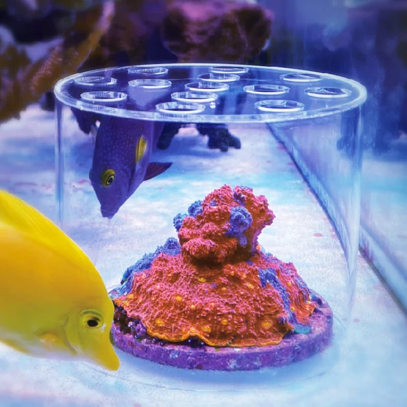 Vastocean Aquarium Acryl Koraa - Aquarium Fertilizer recensie en prijs