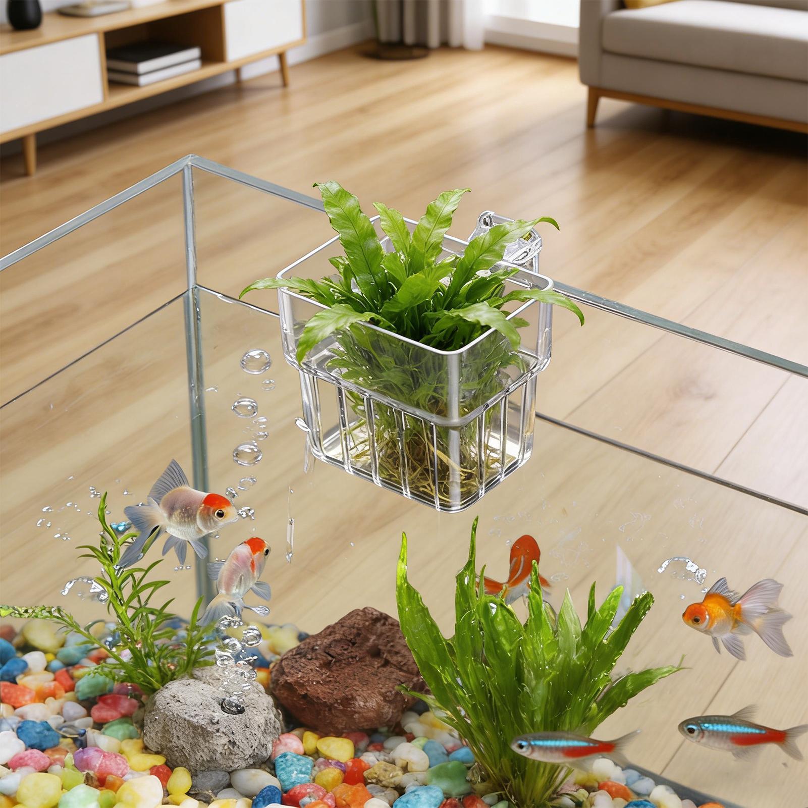 Transparante hangbare aquarium - Aquarium Plants Live recensie en prijs
