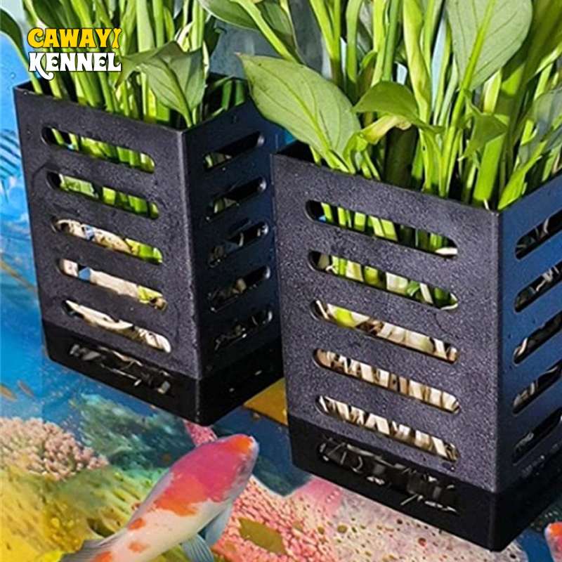 Huisdier Aquarium Decoraties A - Aquarium Plants Live recensie en prijs