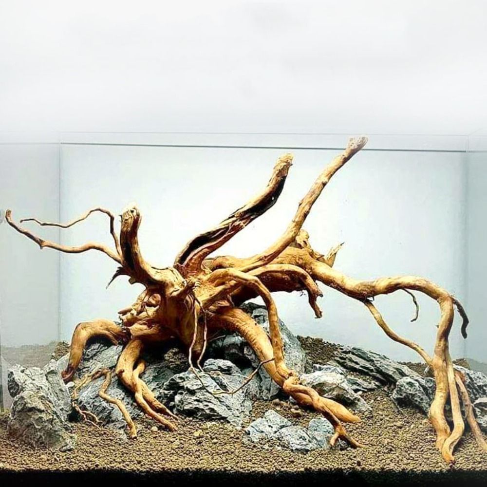 20-25CM Grote Aquarium Drijfho - Aquarium Plants Live recensie en prijs