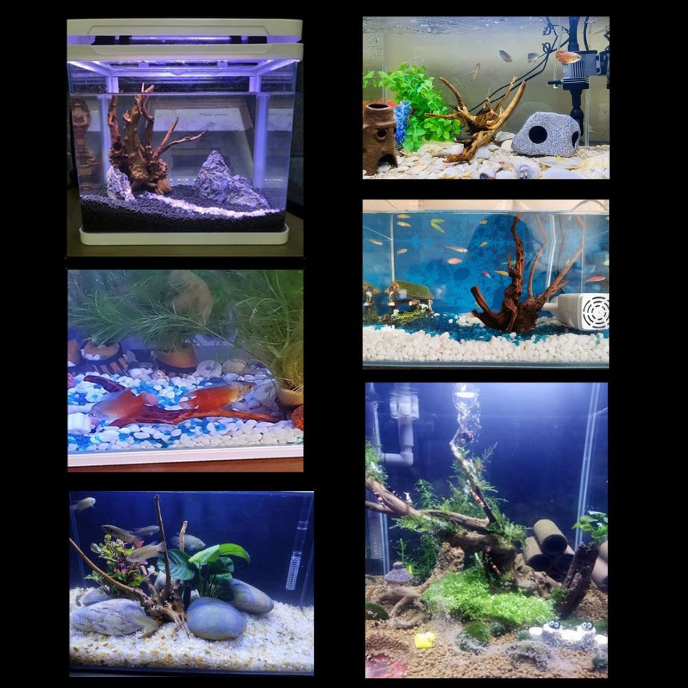 20-25CM Grote Aquarium Drijfho - Aquarium Plants Live recensie en prijs