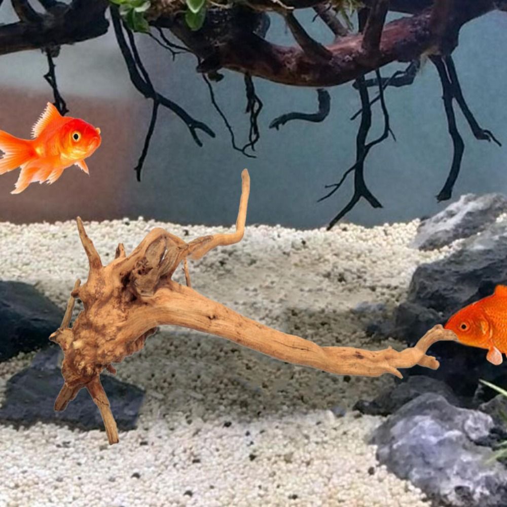 20-25CM Grote Aquarium Drijfho - Aquarium Plants Live recensie en prijs