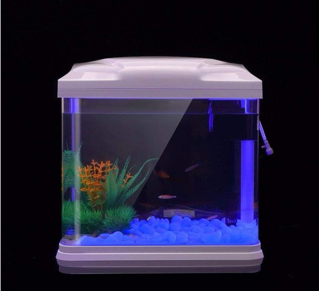 Aquarium Rotsen Glow Blue Kiez - Planted Tank recensie en prijs