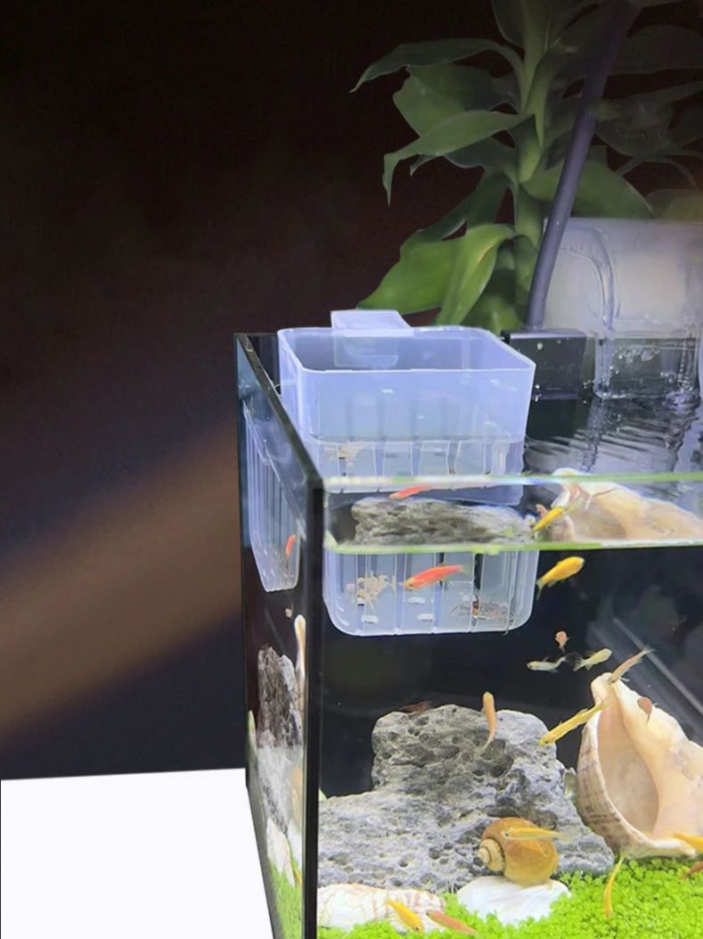 Aquarium Transparante Hydrocul - Aquarium Plant Holder recensie en prijs