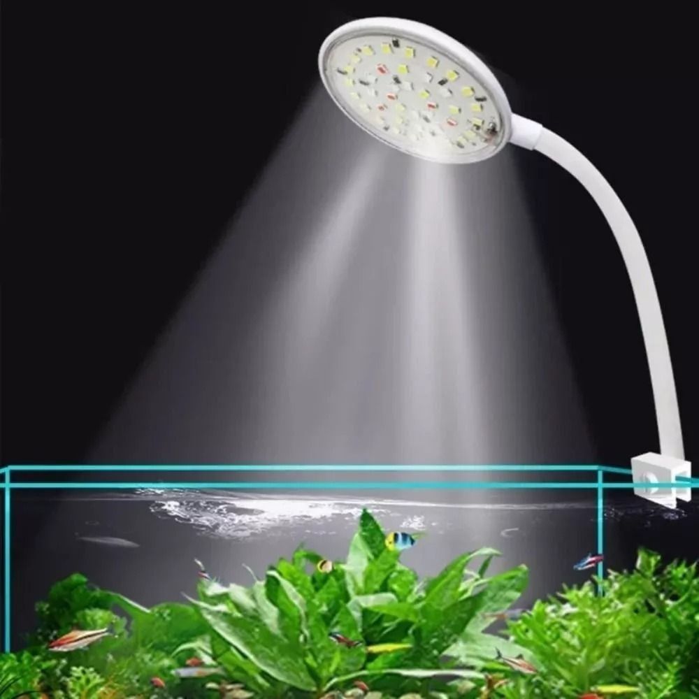 Nieuwe Mini Fish Tank Clip Lam - Live Plant Aquarium recensie en prijs
