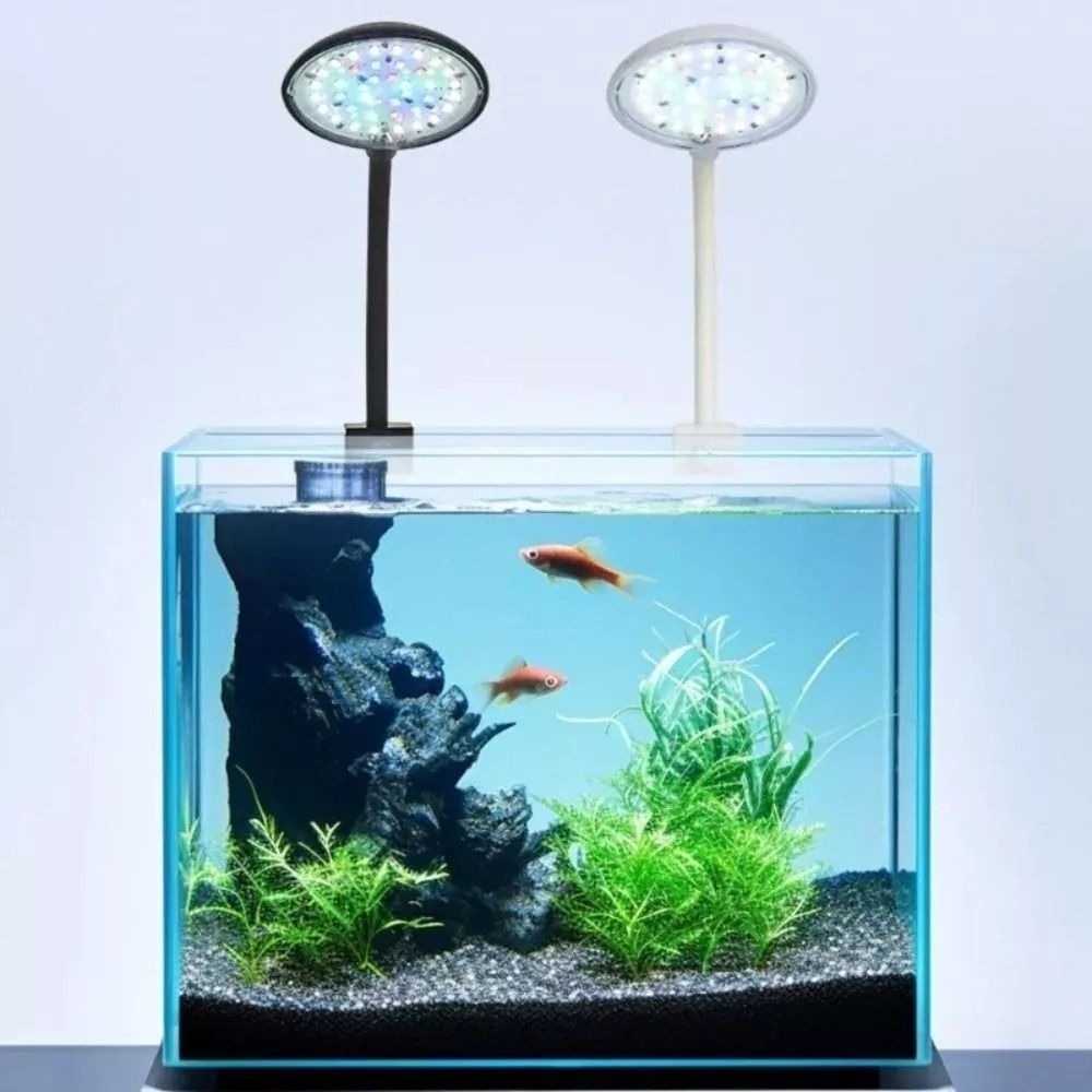 Nieuwe Mini Fish Tank Clip Lam - Live Plant Aquarium recensie en prijs