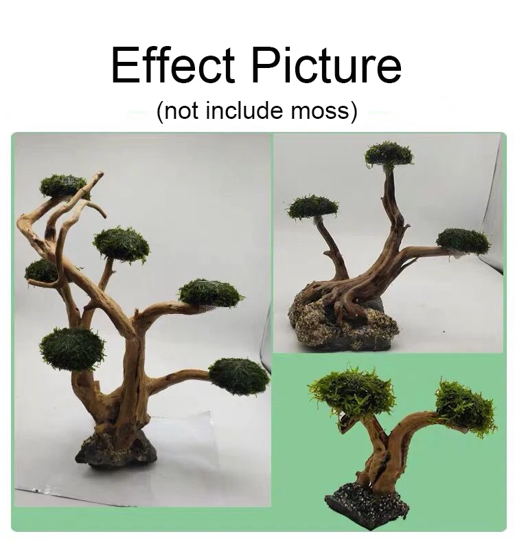 Aquarium Drijfhout Landschapsa - Aquarium Moss recensie en prijs