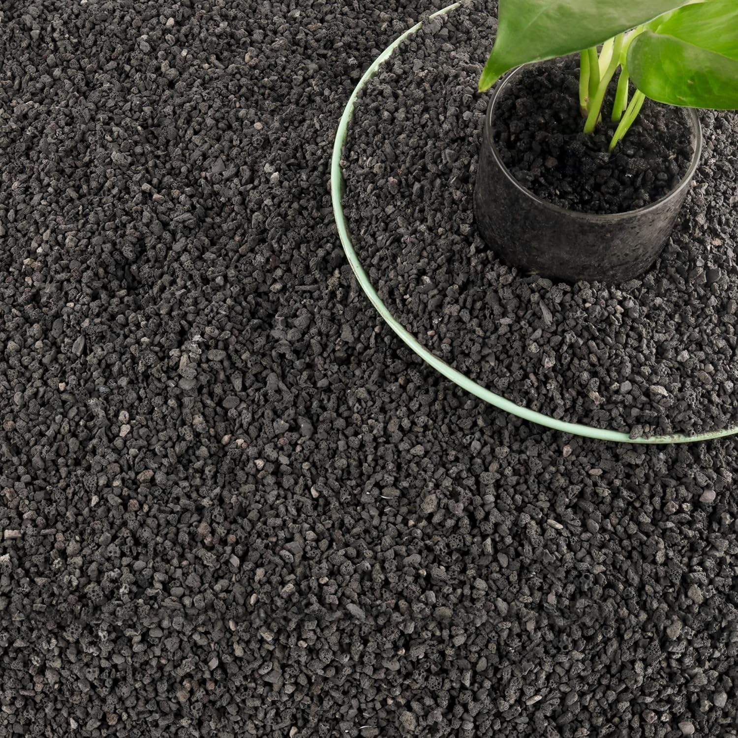 3 lb zwarte filtermaterialen v - Plant Aquarium Pot recensie en prijs
