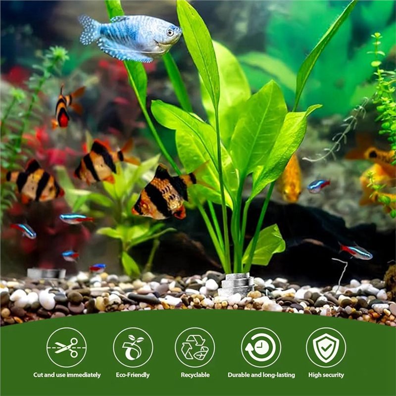 LLCS-Plant Vaste Ringbasis voo - Live Plant Aquarium recensie en prijs