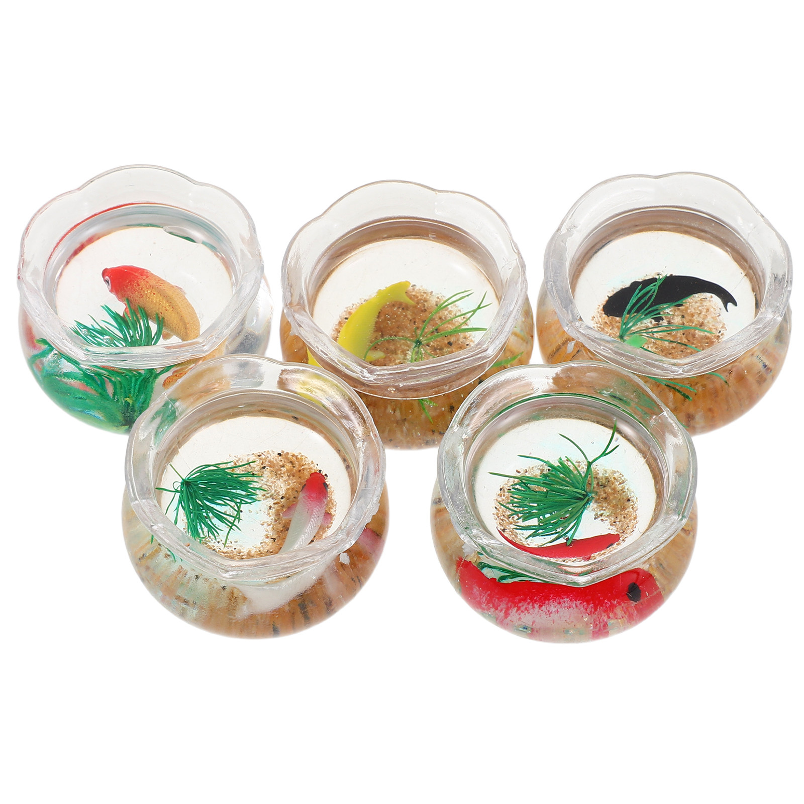 5 stuks miniatuur koi-aquarium - Planted Tank recensie en prijs