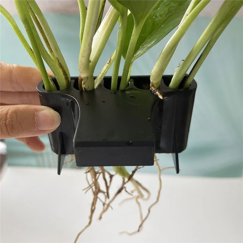 THIVN – Aquariumplantenbak, aq - Live Plant Aquarium recensie en prijs