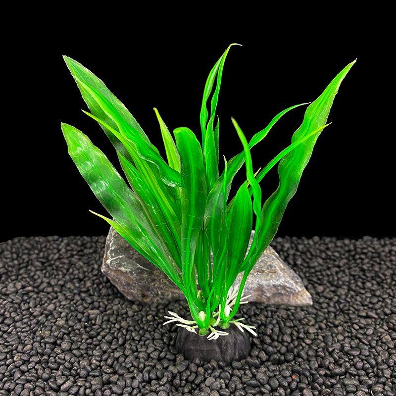 6 stuks aquariumplanten, groen - Aquarium Plants Live recensie en prijs